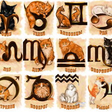Схема вышивки «Кошачий гороскоп»