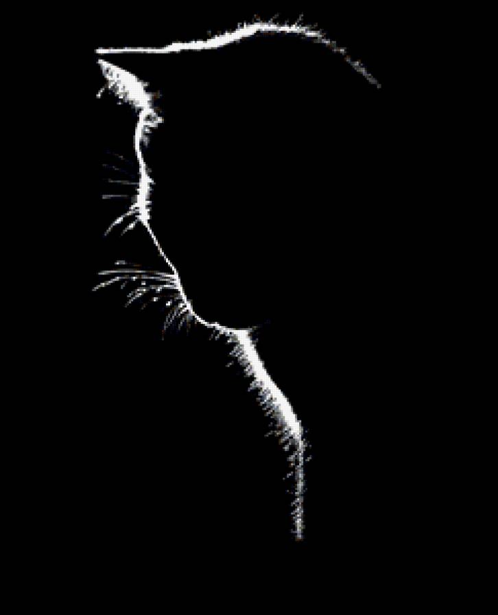 №201467 - предпросмотр