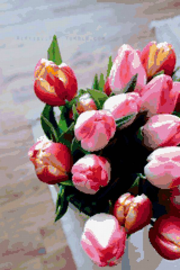 Тюльпаны - букеты, натюрморты, тюльпаны, цветы, красота - предпросмотр