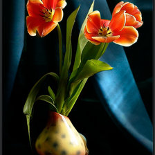 Схема вышивки «тюльпаны»