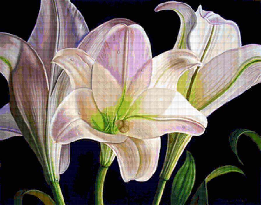 №201621 - предпросмотр