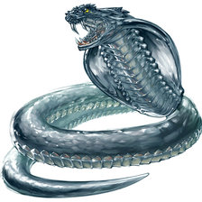 змея 1