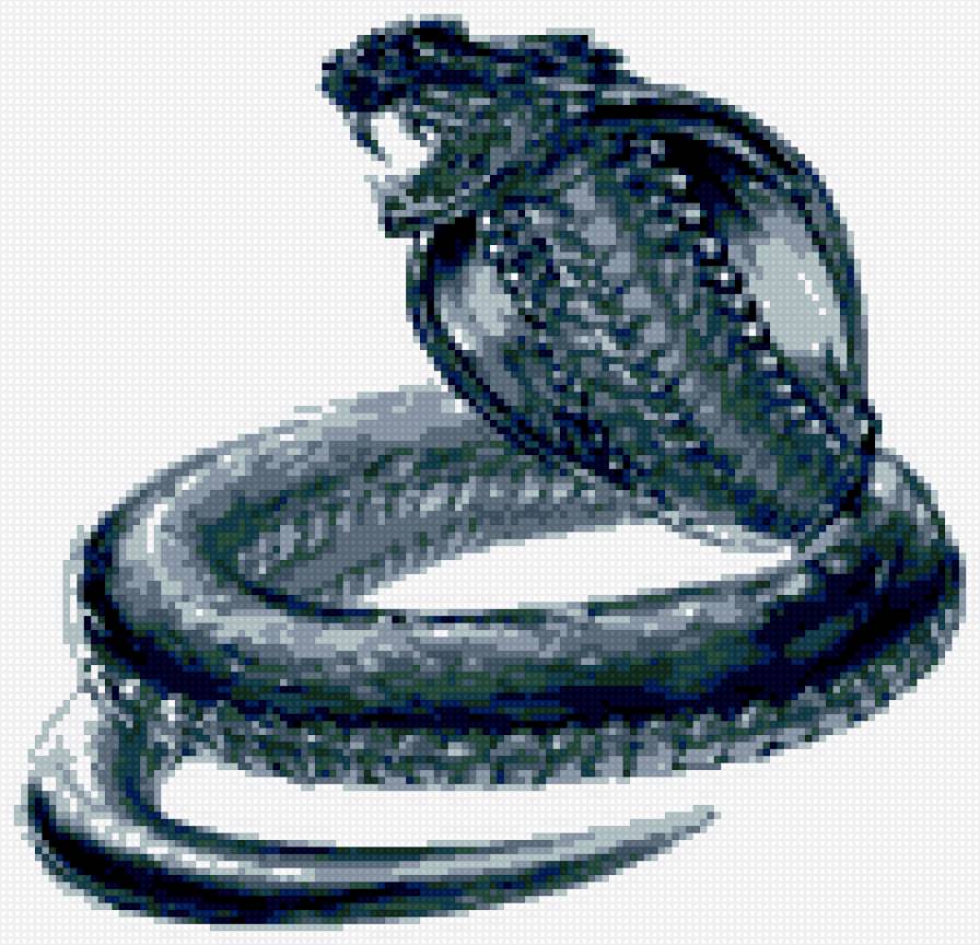 змея 1 - предпросмотр