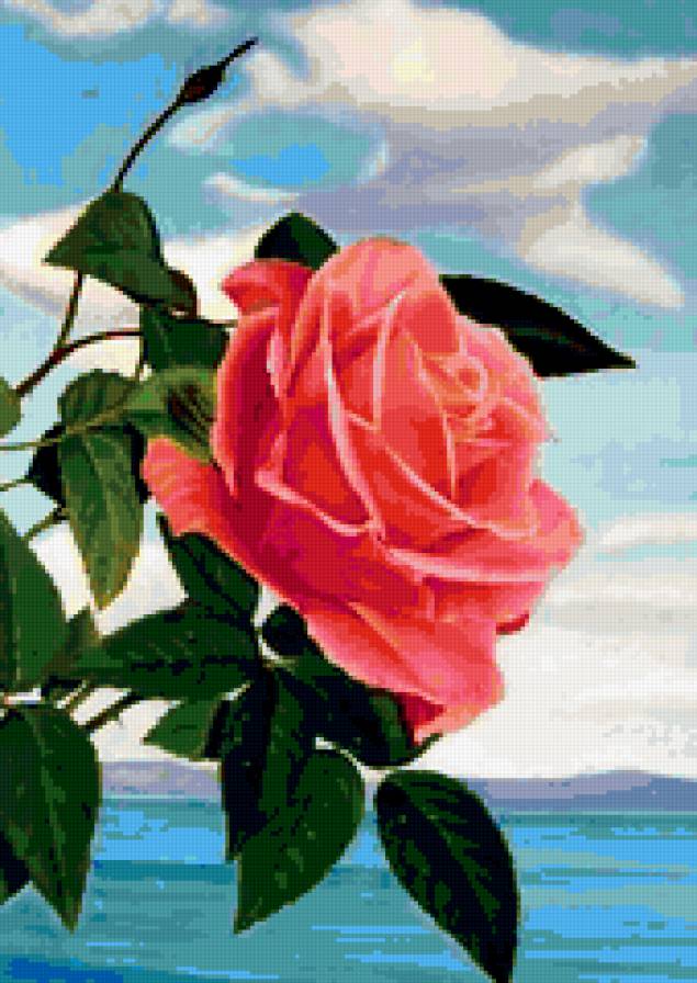 розы - натюрморт, природа, цветы, букет, , романтика - предпросмотр