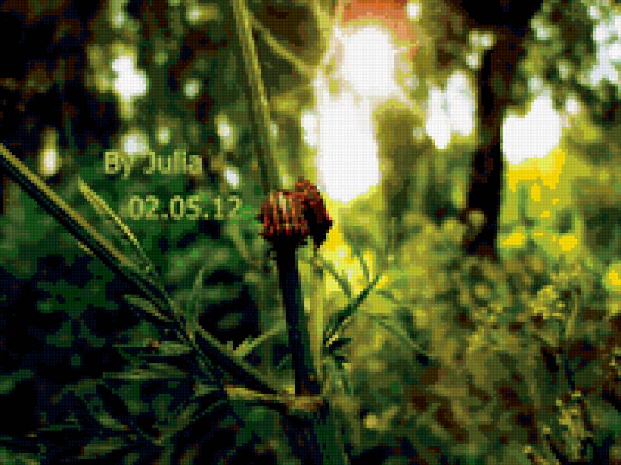 №202127 - предпросмотр