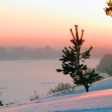 Схема вышивки «елка»