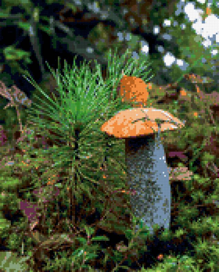 грибочек - предпросмотр