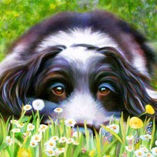 Схема вышивки «№202371»