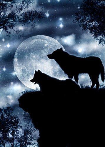 волки луна ночь - оригинал