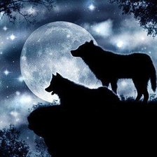 Оригинал схемы вышивки «волки луна ночь» (№202385)