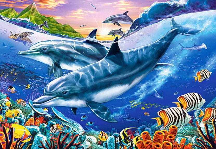 дельфины - рыбы, дельфин, море, природа, океан, рыбки - оригинал