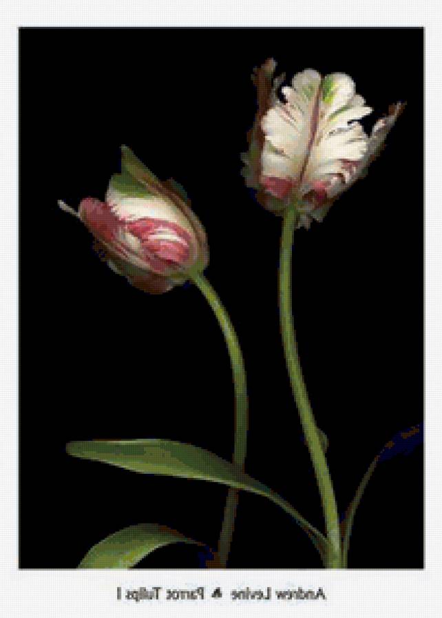 №202603 - предпросмотр