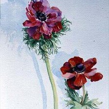 Схема вышивки «№202616»