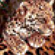 Предпросмотр схемы вышивки «леопарды» (№202813)