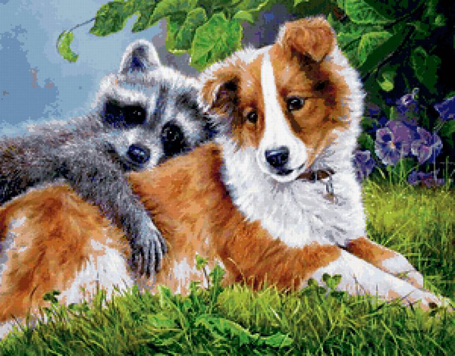 друзья - еноты, животные, собаки, пес, енот, собака - предпросмотр