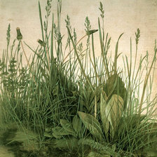 Схема вышивки «Альбрехт Дюрер.Куст травы.»