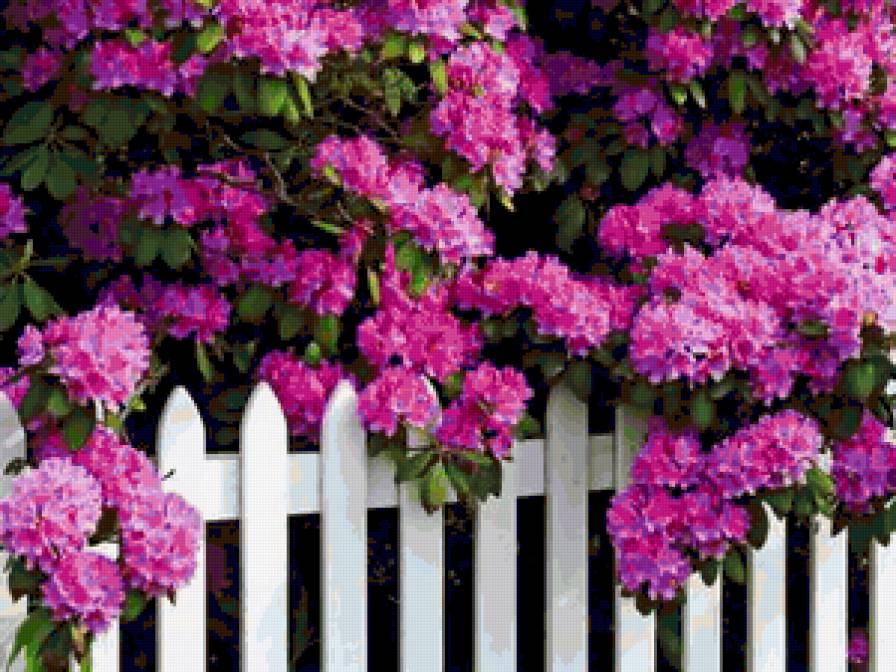 987675342 - природа, лес, цветок, весна, деревья, букет, дерево, цветы - предпросмотр