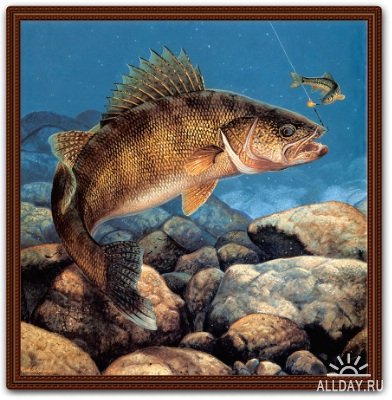 рыбка3 - оригинал