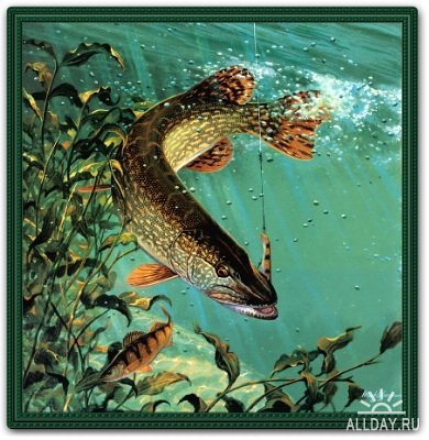 рыбка4 - оригинал