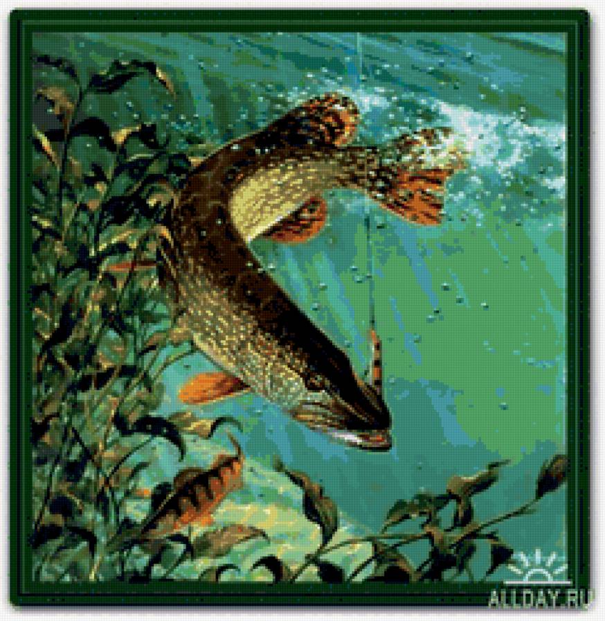 рыбка4 - предпросмотр
