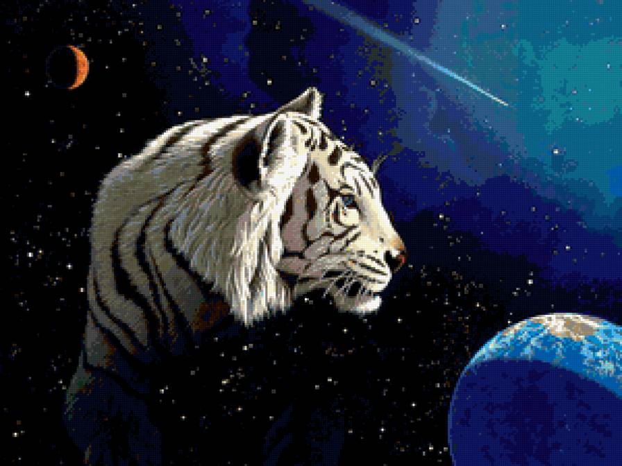 Тигр - тигры - предпросмотр