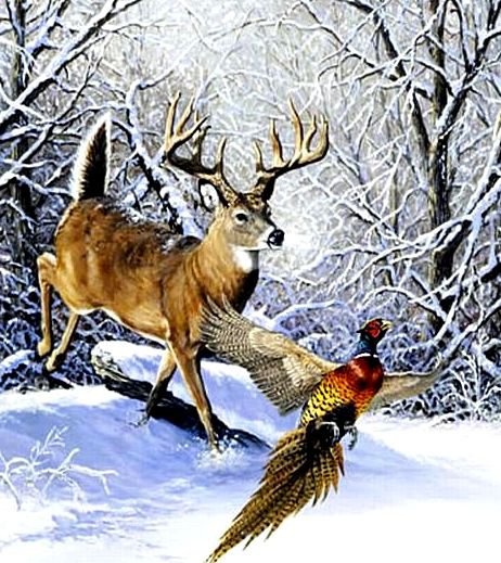 В зимнем лесу - зима, олень, лес - оригинал