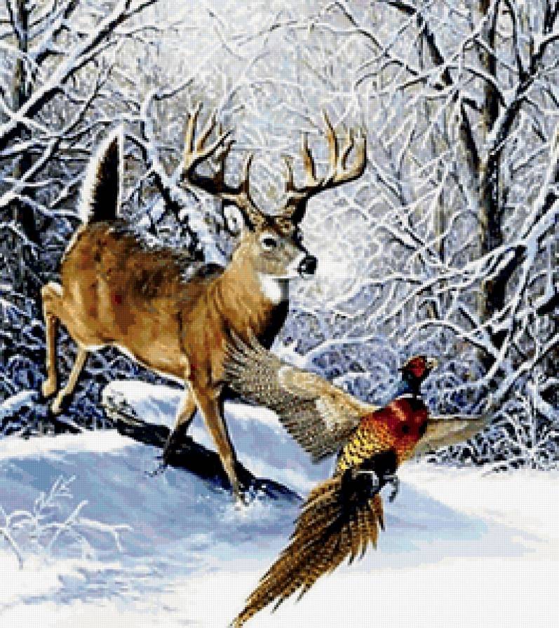 В зимнем лесу - зима, олень, лес - предпросмотр