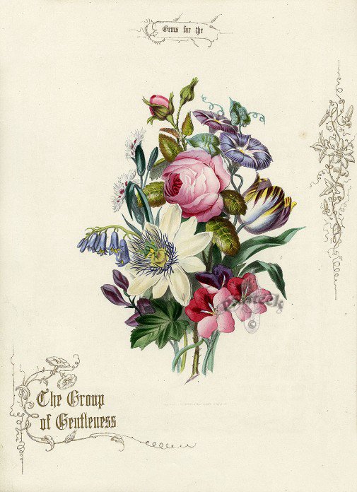 №203366 - оригинал