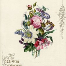 Схема вышивки «№203366»