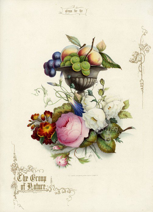 №203371 - оригинал