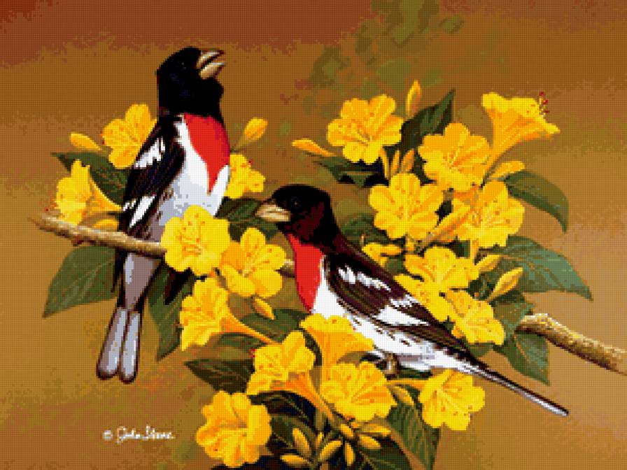 Серия : Птицы - птицы - предпросмотр