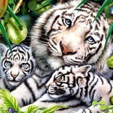 Схема вышивки «тигры»