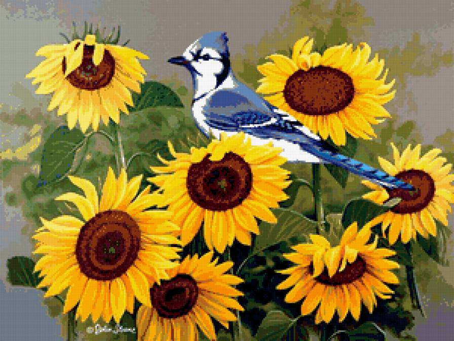 Серия : Птицы - предпросмотр