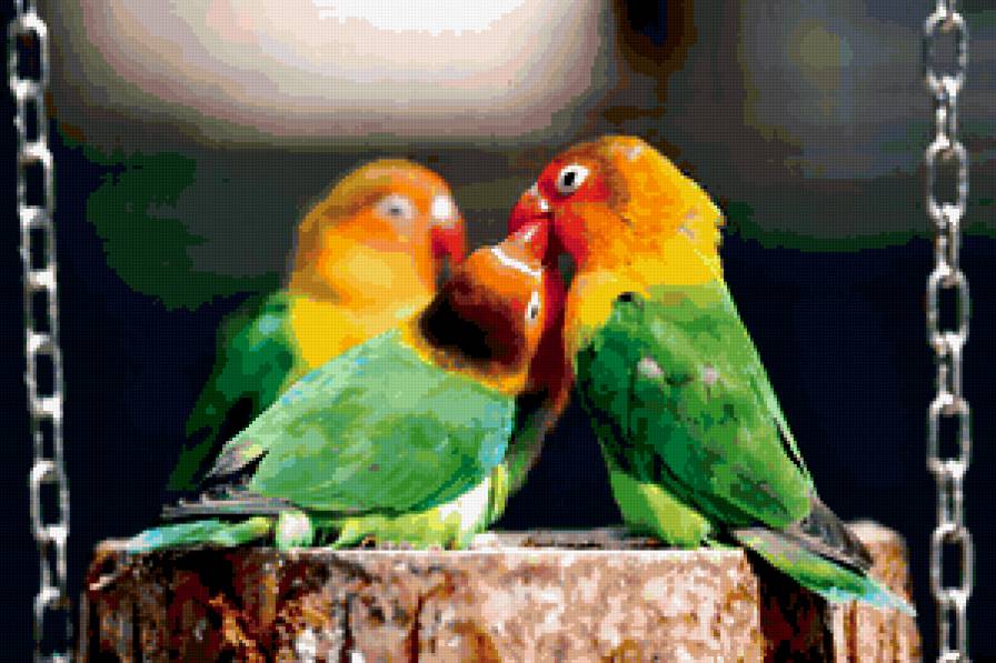 Серия : Птицы - предпросмотр