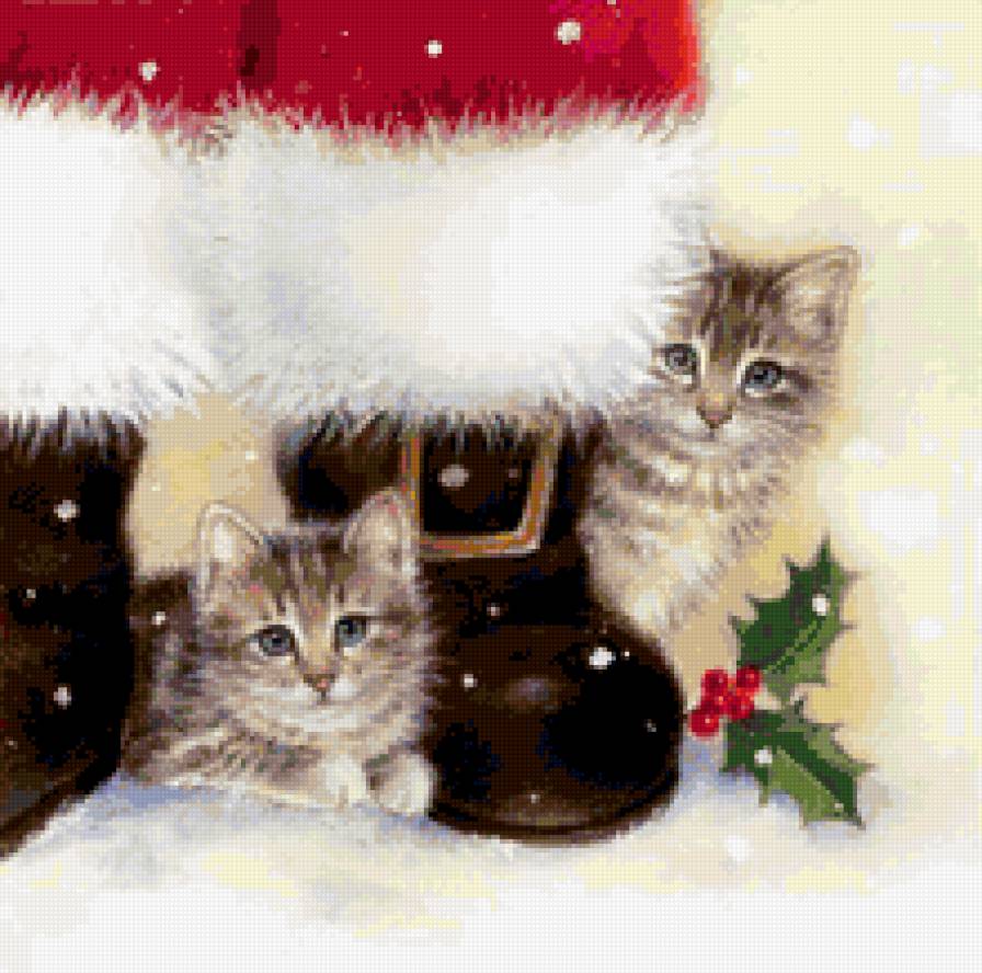 котята - котенок - предпросмотр