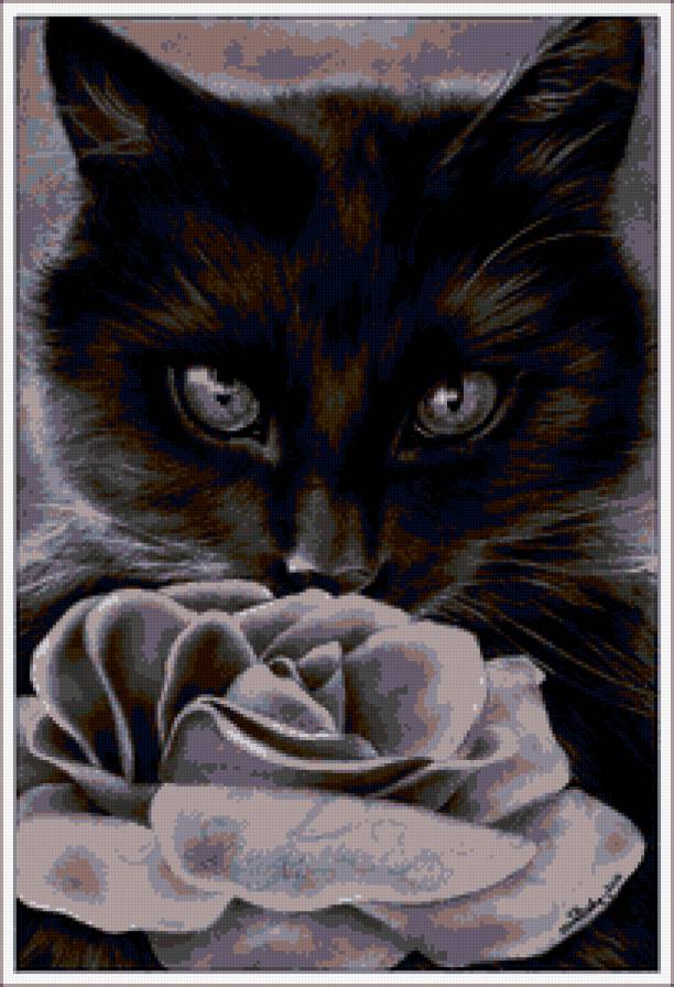 кошка - розы, животные, роза, цветы, кошечка, кошки, коты, черно-белое - предпросмотр