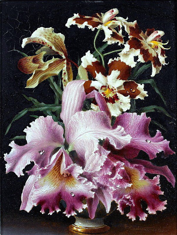 Орхидеи - натюрморт, букет, цветы - оригинал