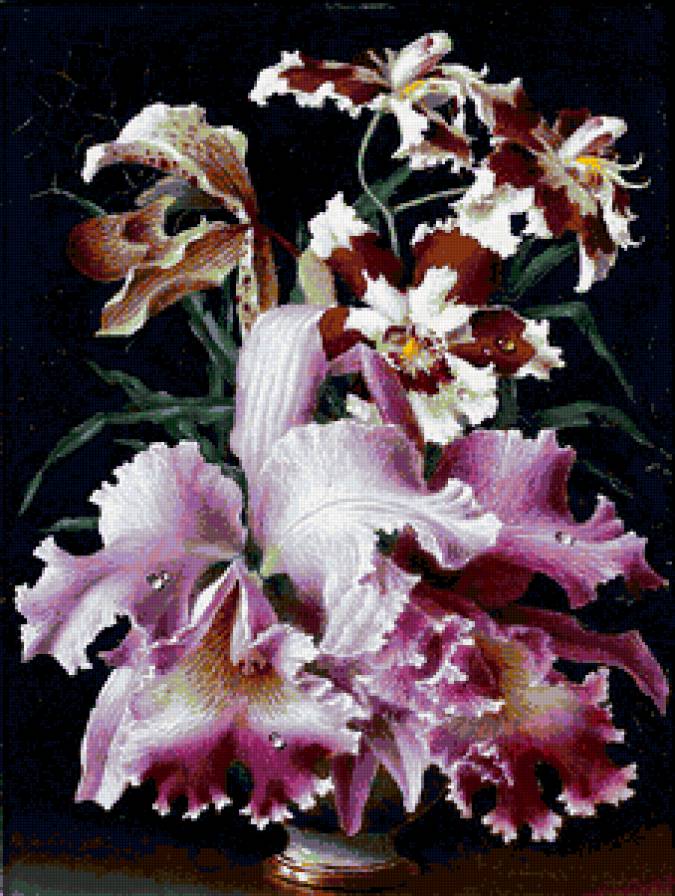 Орхидеи - натюрморт, букет, цветы - предпросмотр