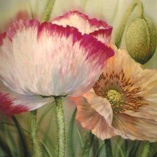 Схема вышивки «№203992»