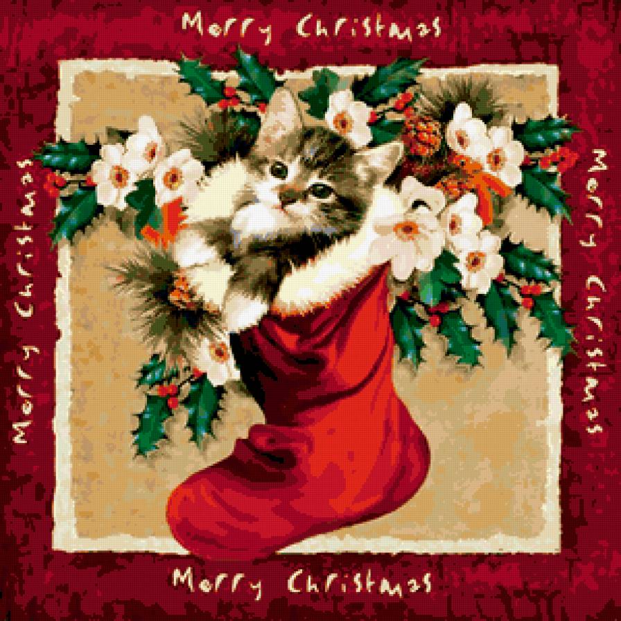 котенок - котик, новый год, зима, кошка, животные, рождество, кошки - предпросмотр