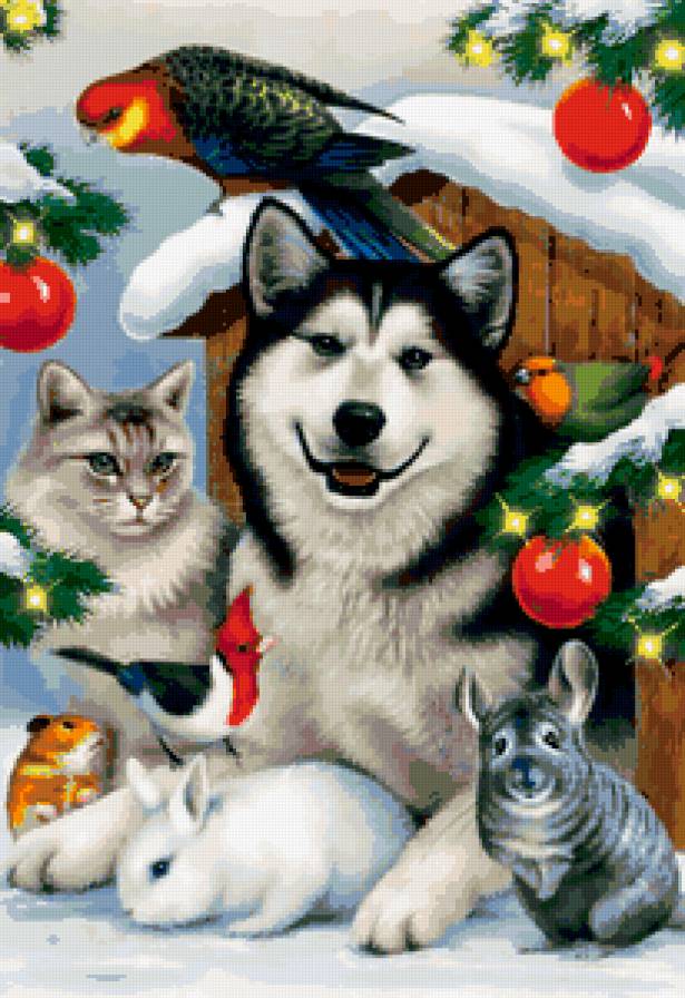 животные - птицы, кошки, новый год, кошка, зима, хаски, собаки, зайчик, шиншила - предпросмотр