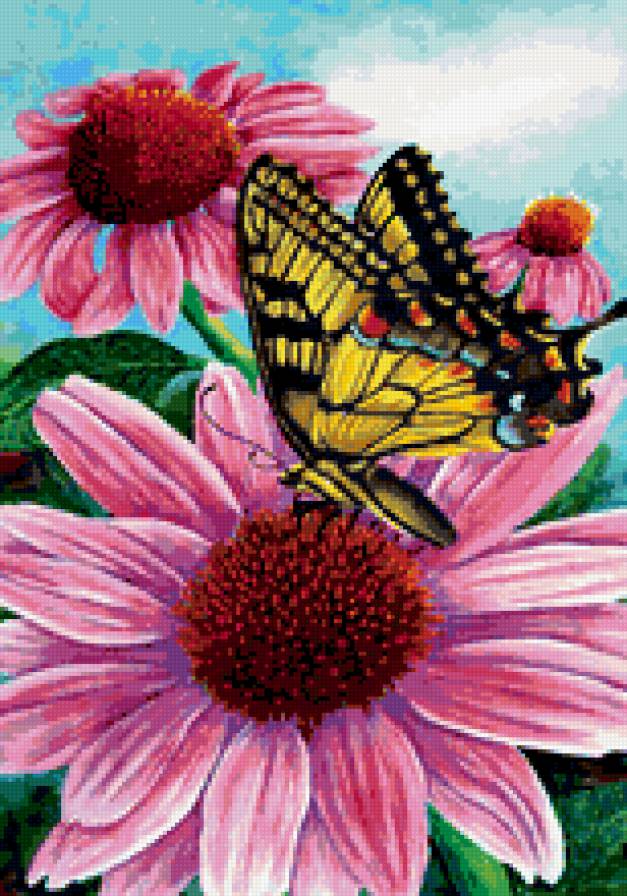 цветы - , букет, природа, цветы, романтика, натюрморт - предпросмотр