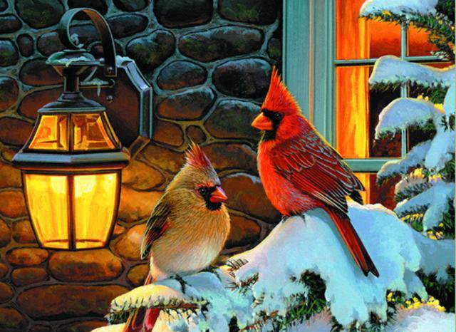 птицы - природа, лес, ночь, картина, фонарь, птицы, зима - оригинал