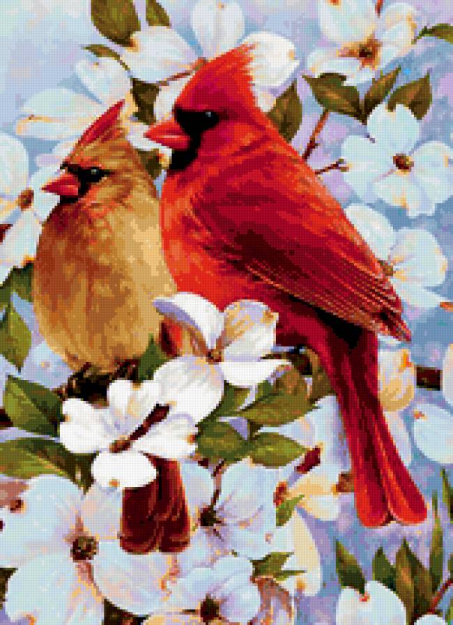 птицы - картина, весна, птицы, природа - предпросмотр