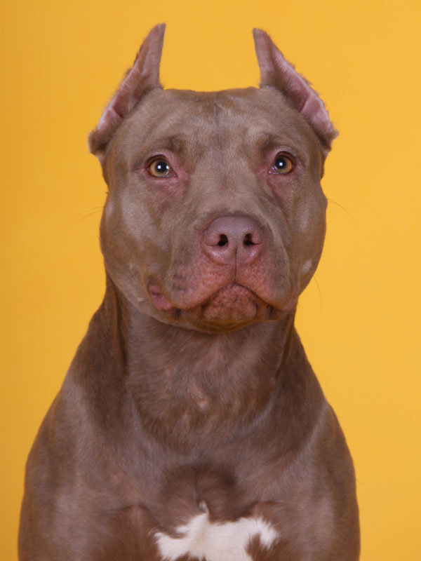 Верка1 - оригинал