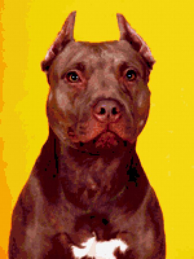 Верка1 - предпросмотр