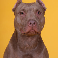 Схема вышивки «Верка1»