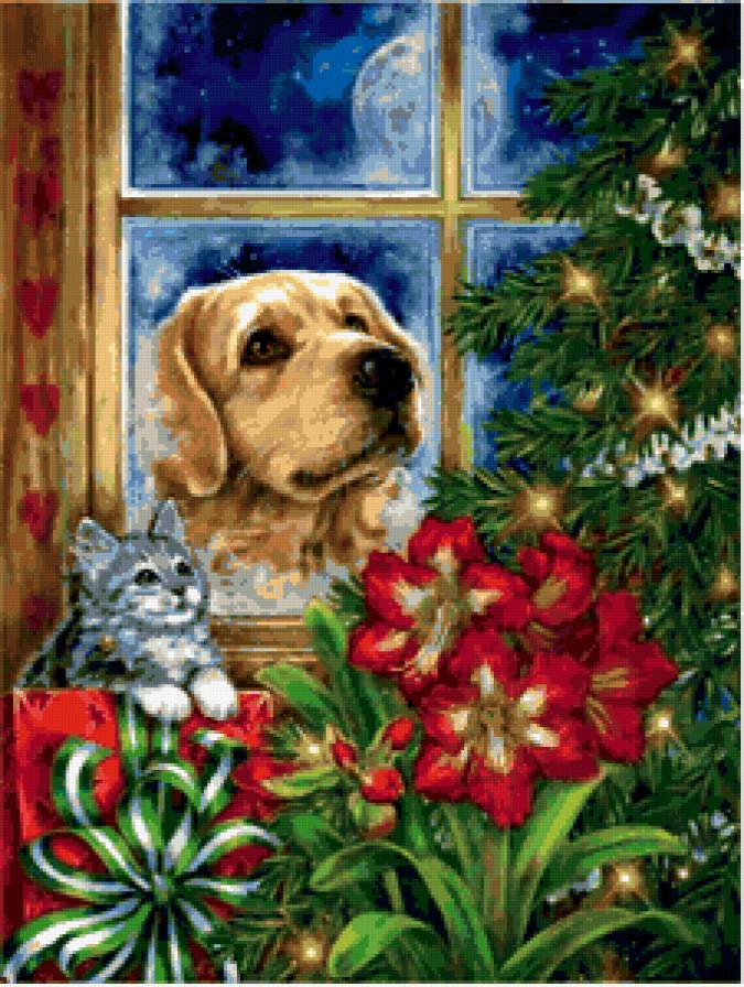 животные - котики, кошка, котик, собачка, кошки, песик, собака, коты, зима, собаки - предпросмотр