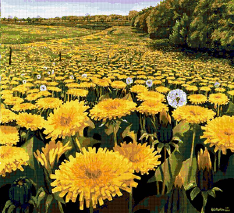 №204374 - картина, цветы, поле, одуванчики, пейзаж - предпросмотр