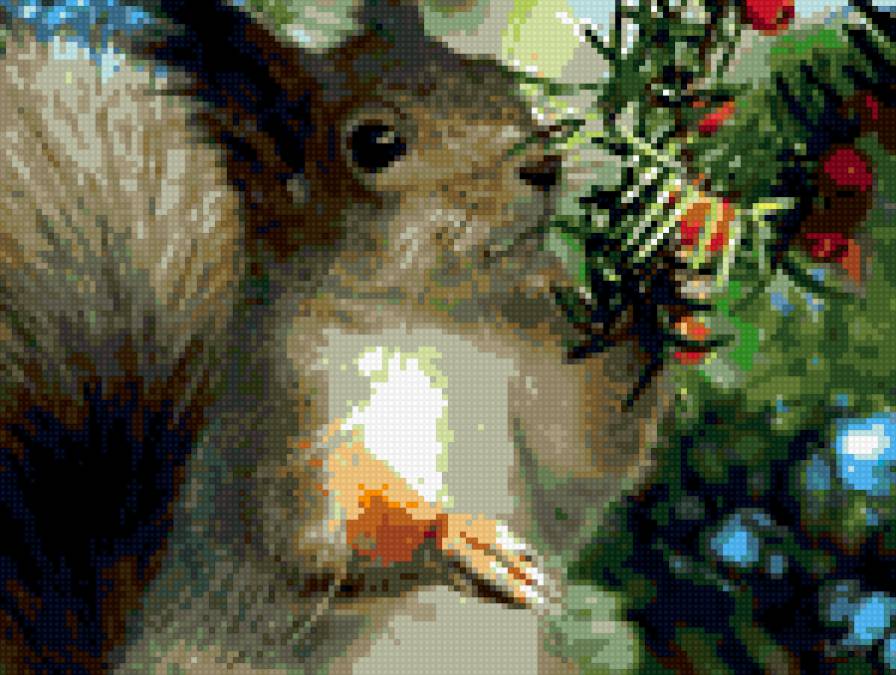 Белка - животные - предпросмотр